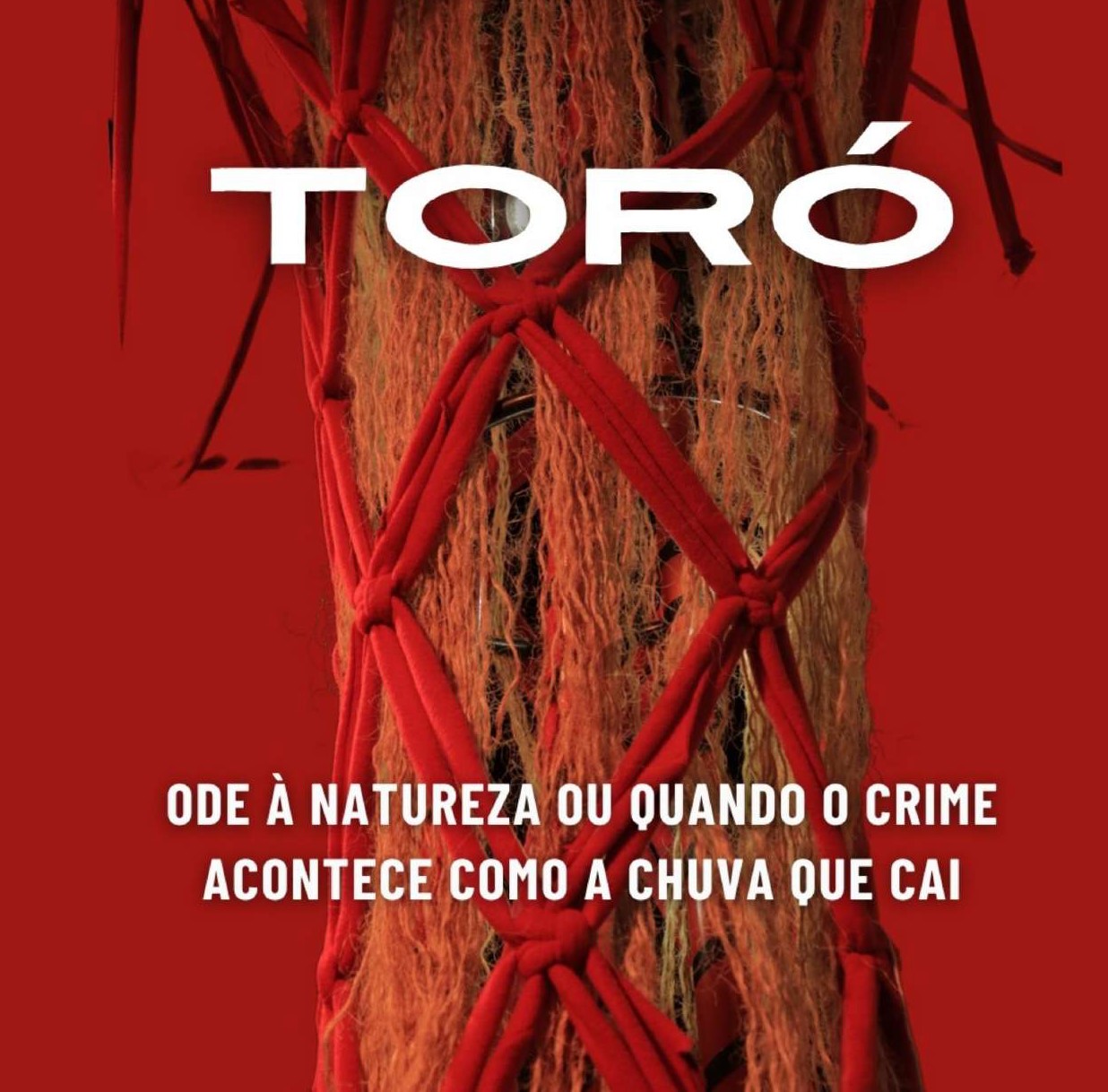 TORO. IMAGEN2026